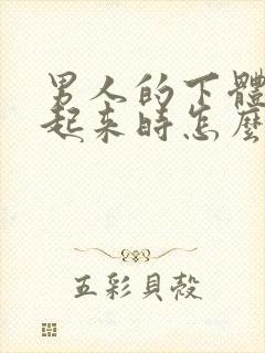 男人的下体硬不起来时怎么回事