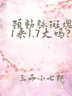 颈动脉斑块4.1乘1.7大吗?