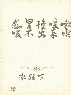 感冒后咳嗽有痰咳不出来吃什么药