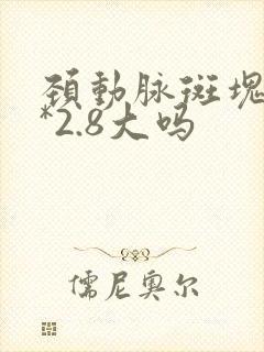 颈动脉斑块15*2.8大吗