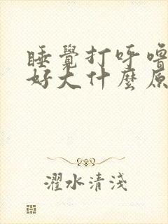 睡觉打呼噜声音好大什么原因?