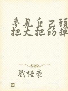 梦见自己头发大把大把的掉,一摸就掉