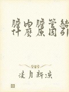 胆内胆管结石是什么原因引起的