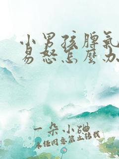 小男孩脾气暴躁易怒怎么办