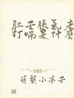 肚子胀气老放屁打嗝是什么原因