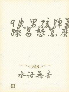 9岁男孩脾气暴躁易怒怎么办