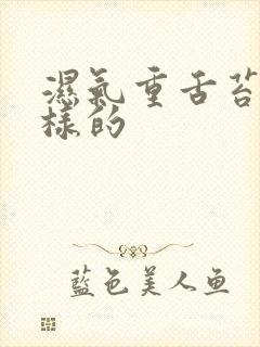 湿气重舌苔是怎样的