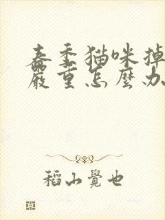 春季猫咪掉毛很严重怎么办