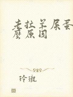 老拉羊屎蛋是什么原因