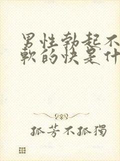 男性勃起不够硬软的快是什么原因