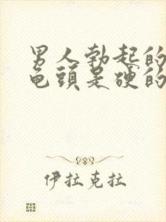 男人勃起的时候龟头是硬的还是软的