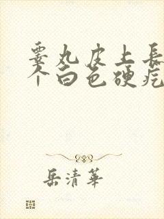 睾丸皮上长了一个白色硬疙瘩