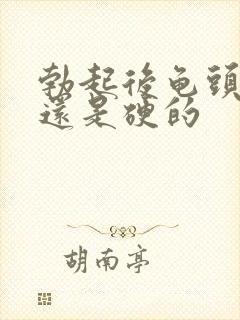 勃起后龟头是软还是硬的