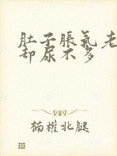 肚子胀气老想尿却尿不多