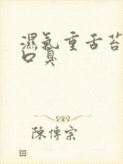 湿气重舌苔黄腻口臭