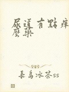 尿道有点痒吃什么药