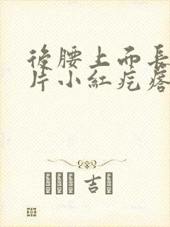 后腰上面长了一片小红疙瘩是什么原因