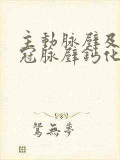 主动脉壁及部分冠脉壁钙化