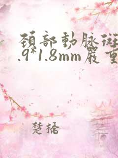 颈部动脉斑块4.9*1.8mm严重吗