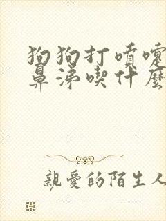 狗狗打喷嚏流清鼻涕吃什么药