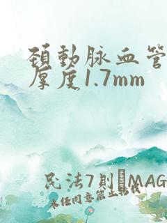 颈动脉血管斑块厚度1.7mm