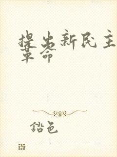 提出新民主主义革命