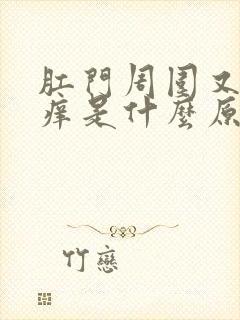 肛门周围又疼又痒是什么原因