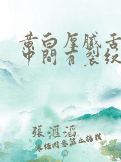 黄白厚腻舌苔舌中间有裂纹