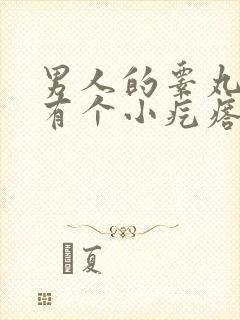 男人的睾丸里面有个小疙瘩