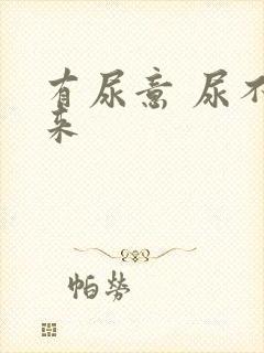 有尿意 尿不出来