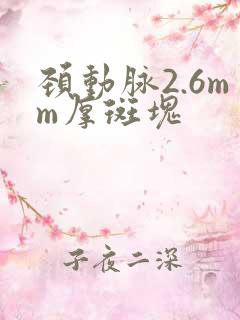 颈动脉2.6mm厚斑块