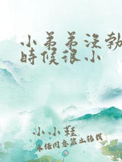 小弟弟没勃起的时候很小