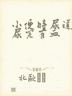 小便时尿道刺痛尿完有血