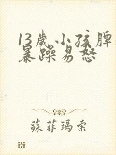 13岁小孩脾气暴躁易怒