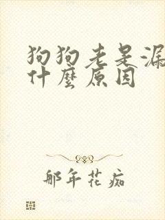 狗狗老是漏尿是什么原因