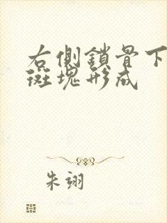 右侧锁骨下动脉斑块形成