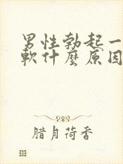 男性勃起一会又软什么原因