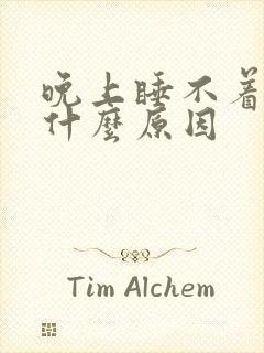 晚上睡不着睡是什么原因