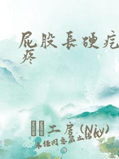 屁股长硬疙瘩很疼