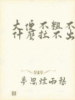 大便不粗不硬为什么拉不出来