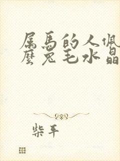 属马的人佩戴什么兔毛水晶招财