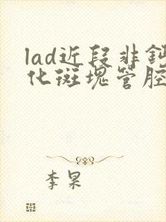 lad近段非钙化斑块管腔轻度狭窄