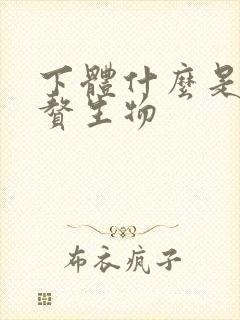 下体什么是外阴赘生物