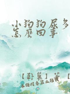 小狗狗尿多尿频怎么回事