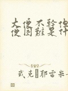 大便不干但是排便困难是什么原因