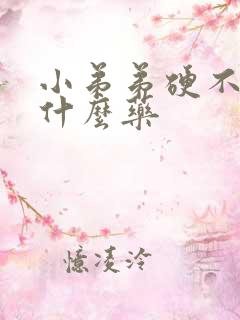 小弟弟硬不起吃什么药