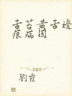 舌苔黄舌边有齿痕病因