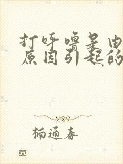 打呼噜是由什么原因引起的