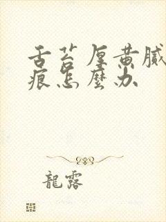 舌苔厚黄腻有齿痕怎么办