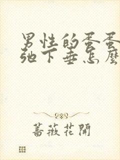 男性的蛋蛋很松弛下垂怎么回事